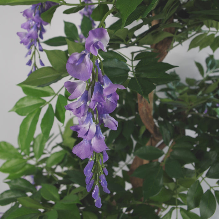 110cm Artificial Purple Wisteria Tree with Silver Metal Planter