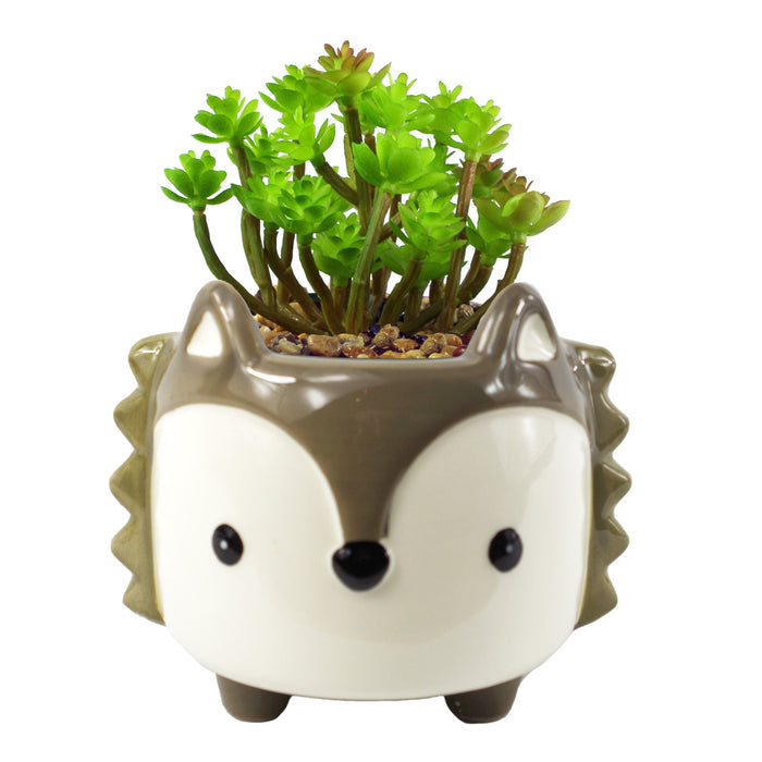 15cm Ceramic Grey Fox Planter with Artificial Sedum Clavatum Plant
