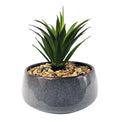 18cm Ceramic Blue Dish Planter with Artificial Green Dracaena Plant