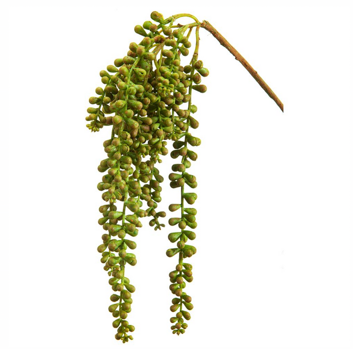 19'' SOFT TOUCH DONKEY TAIL PICK ( CD0102-Green/Rust )