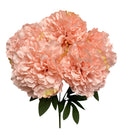 20'' Peony Bush ( INT2034-#15 Pink )