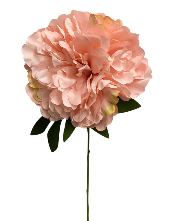 20'' Peony Bush ( INT2034-#15 Pink )