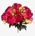 20'' Peony Bush. ( WHB25302-#8 Beauty )