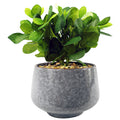 23cm Ceramic Tall Blue Planter with Artificial Green Mosaic Plant