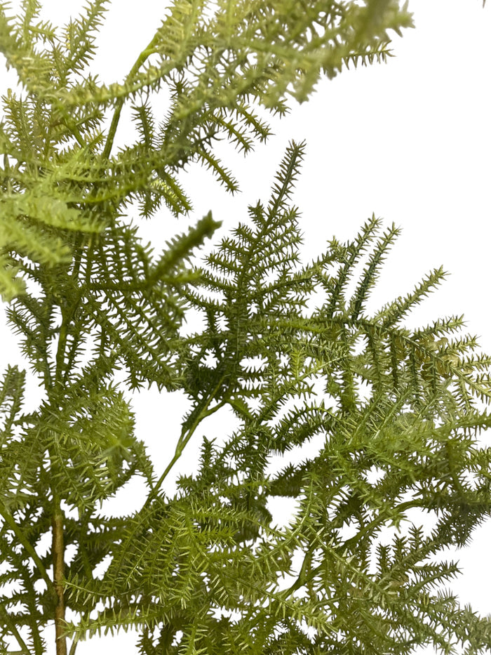 38" Asparagus Fern Spray ( PSF739-Green )