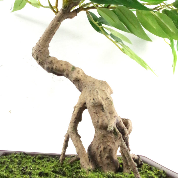 50cm Artificial Ruscus Acacia Bonsai Tree
