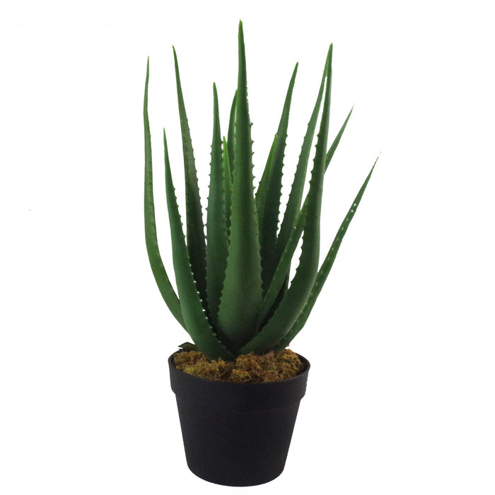55cm Artificial Realistic Aloe Vera Succulent Plant with Silver Designer Planter