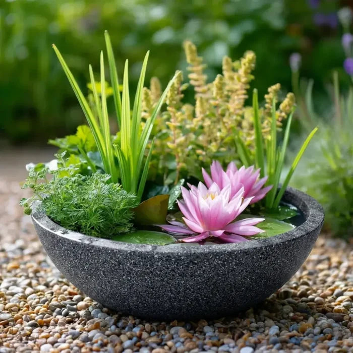 #with Lily #with Deep Water Plant #without Plants (Bowl & Mesh Only) #2.5W Floating Fountain #5W Fountain #2.5W Floating Lily Fountain