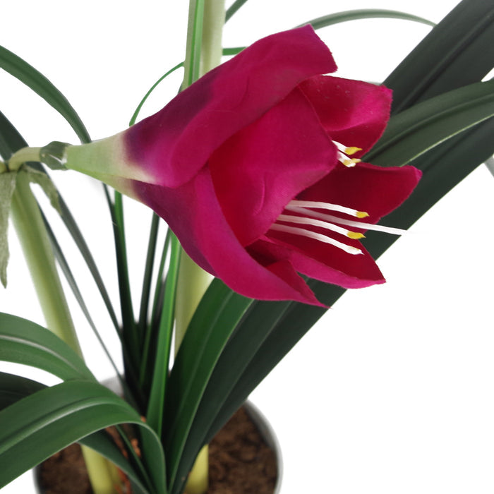 60cm Artificial Amarylis Pink