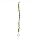 71" Moss Vine  ( AA5029-Green )