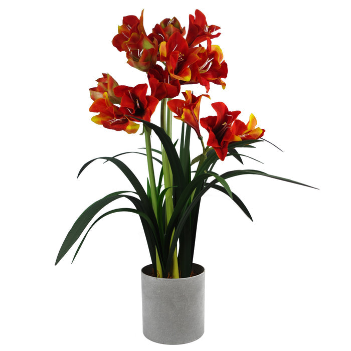 90cm Artificial Amarylis Orange