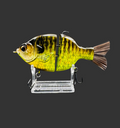 Outlaw Willie Gill “Grand Lake Gill”