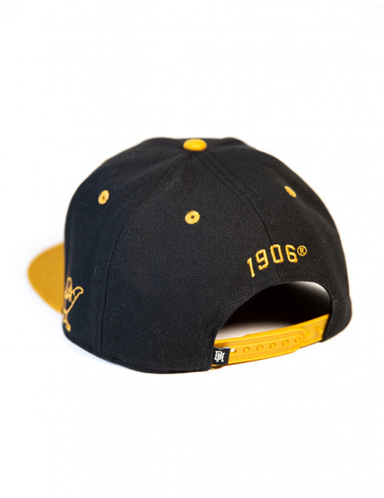 Alpha Phi Alpha Cap