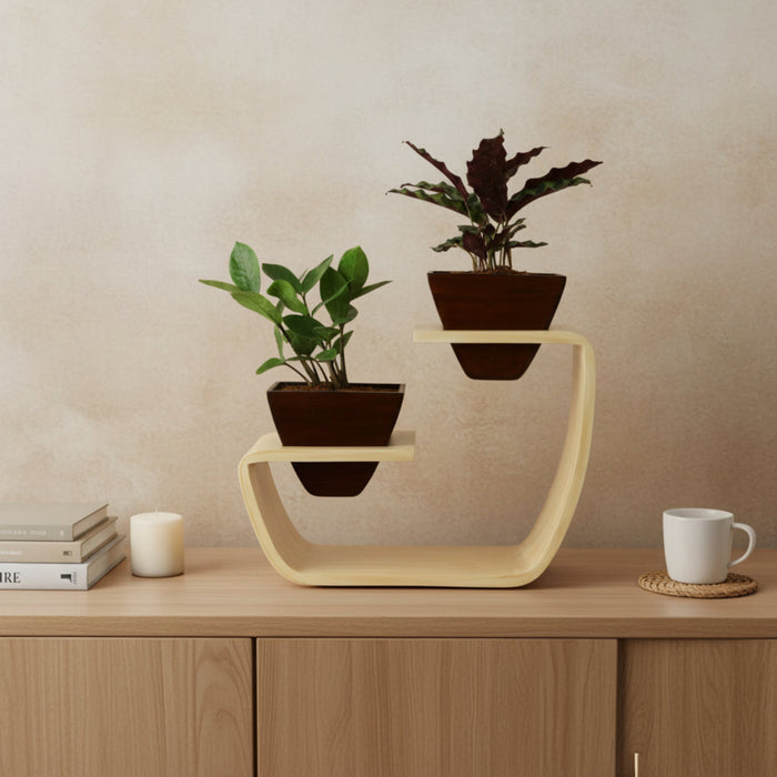 0503  Dark Brown Artistic Curved Stand Planter - Lifestyle 4
