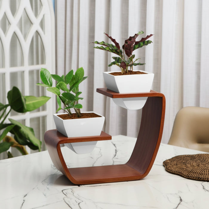 Aries Duo Tabletop Curved Planter Stand With White Pots (Set of 2)
