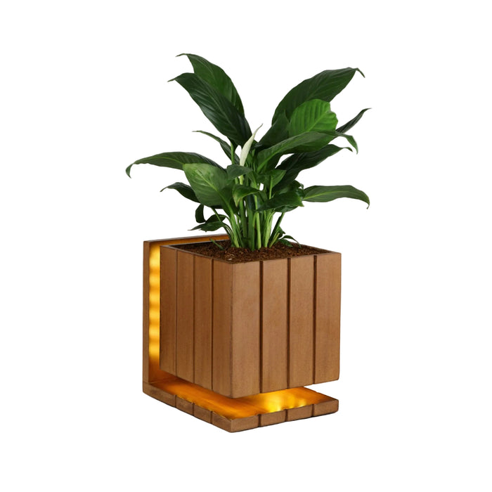 AuraCube Tabletop Planter and LED Glow Lamp