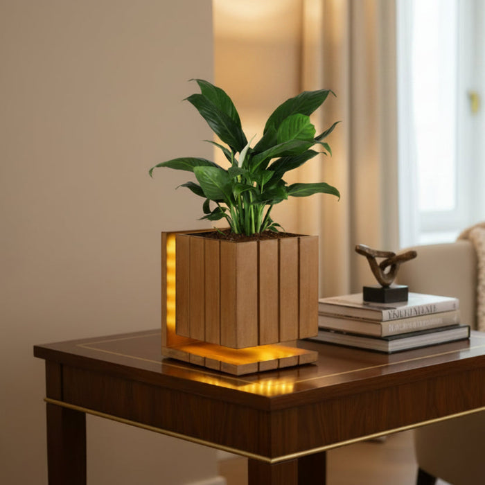 AuraCube Tabletop Planter and LED Glow Lamp
