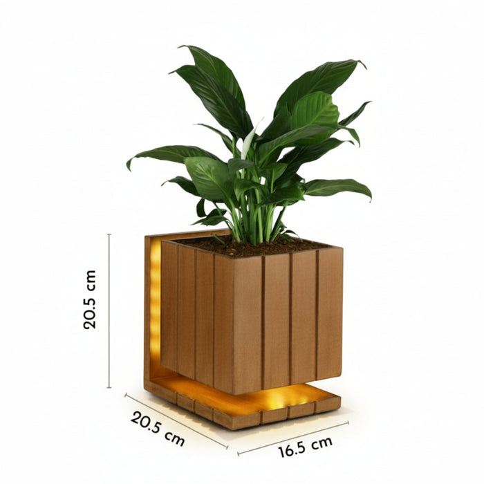 AuraCube Tabletop Planter and LED Glow Lamp