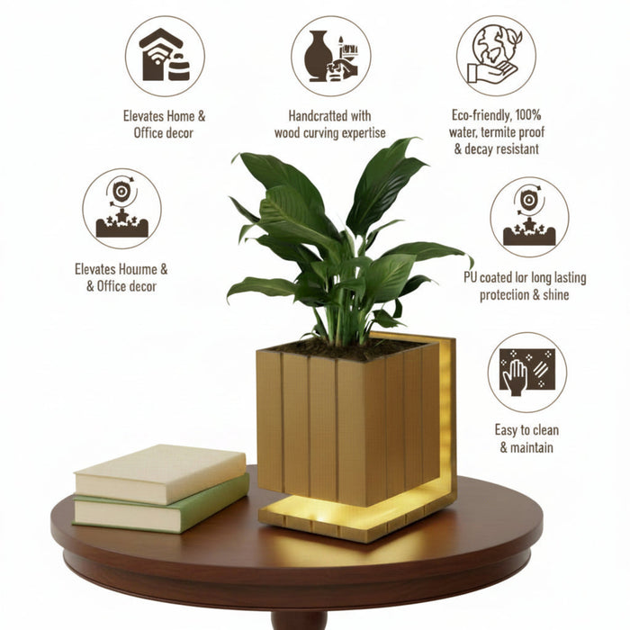 AuraCube Tabletop Planter and LED Glow Lamp
