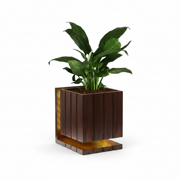Dark Walnut Finish