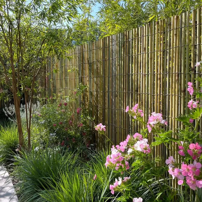 Bamboo Cane Fencing Screening Rolls