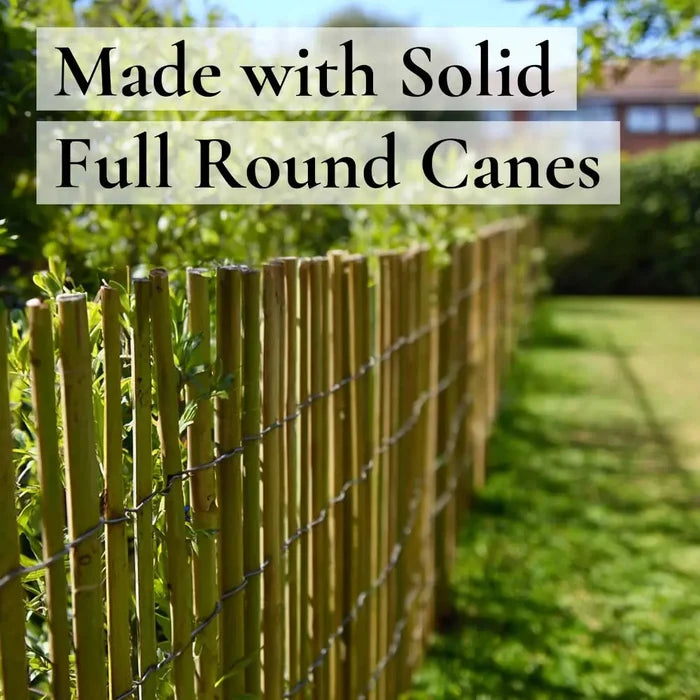Bamboo Cane Fencing Screening Rolls