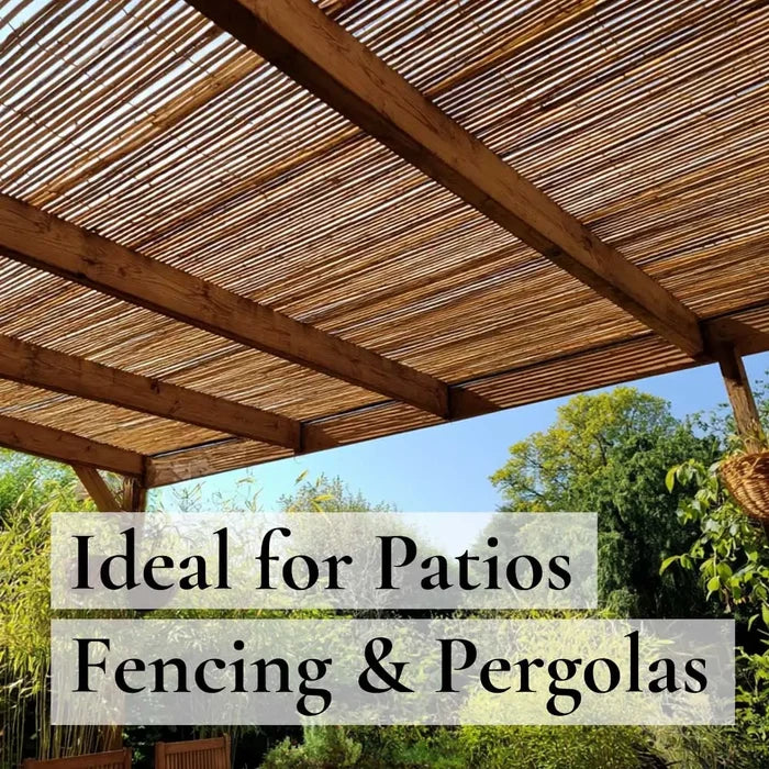 Bamboo Cane Fencing Screening Rolls