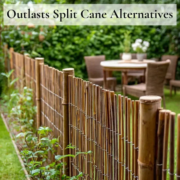 Bamboo Cane Fencing Screening Rolls