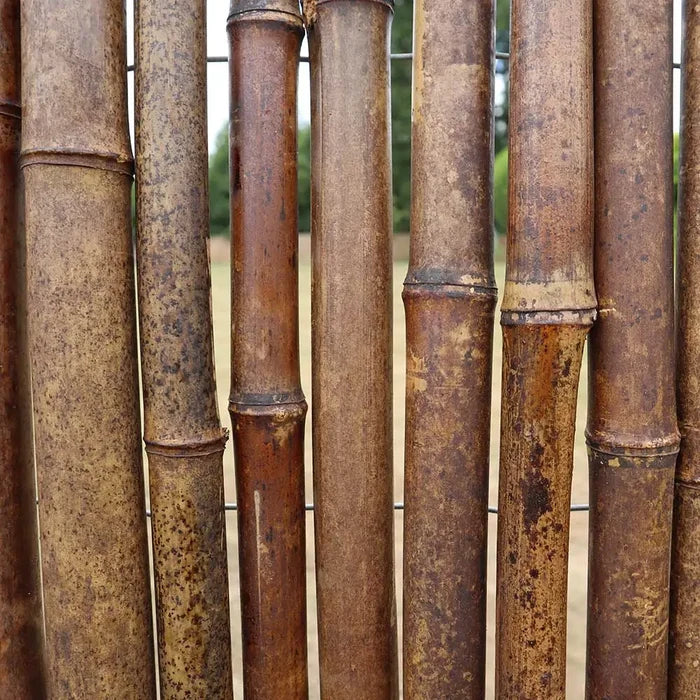 Black Premium 2-4cm Thick Bamboo Cane Fencing Screening Rolls