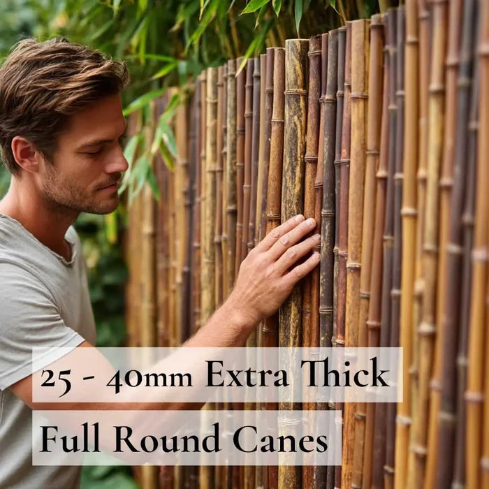 Black Premium 2-4cm Thick Bamboo Cane Fencing Screening Rolls