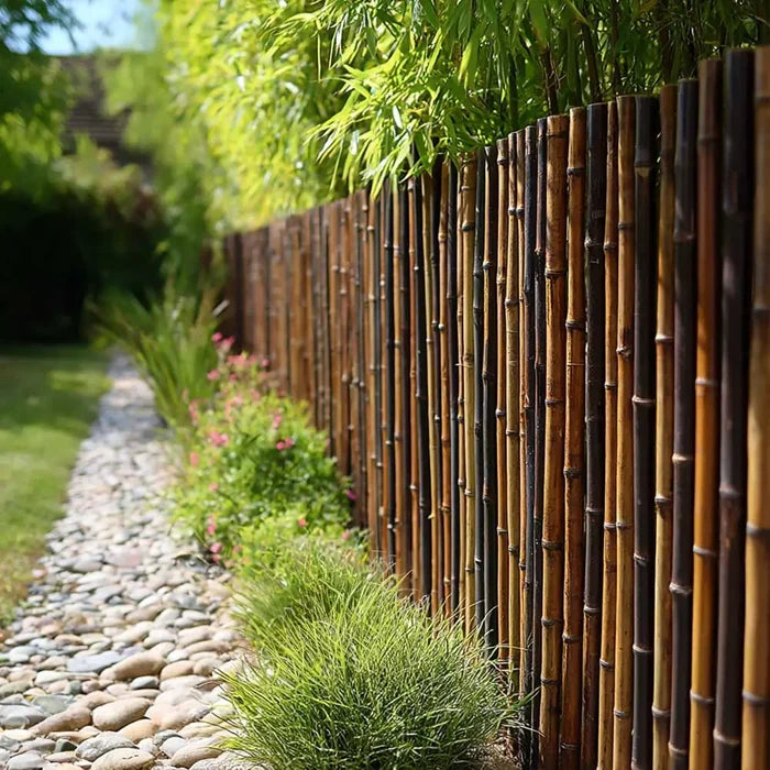 Black Premium 2-4cm Thick Bamboo Cane Fencing Screening Rolls