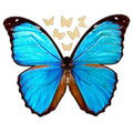 Butterfly Jigsaw Puzzle - 58PCS - #6809