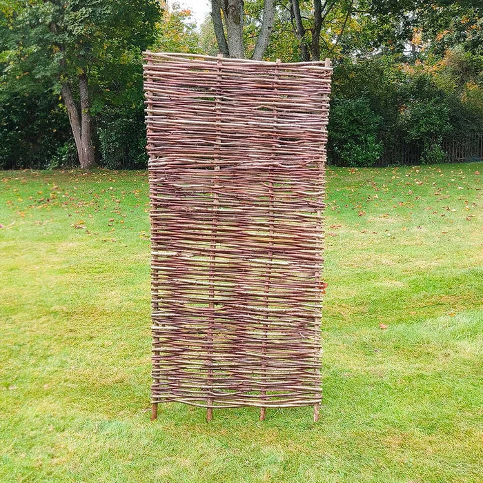 3ft(w) x 6ft(h) (0.9m x 1.82m)