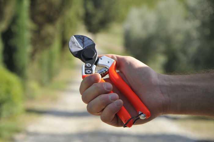 Castellari B12 double-blade pruning shears