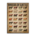 Cattle breeds print vintage vertical poster