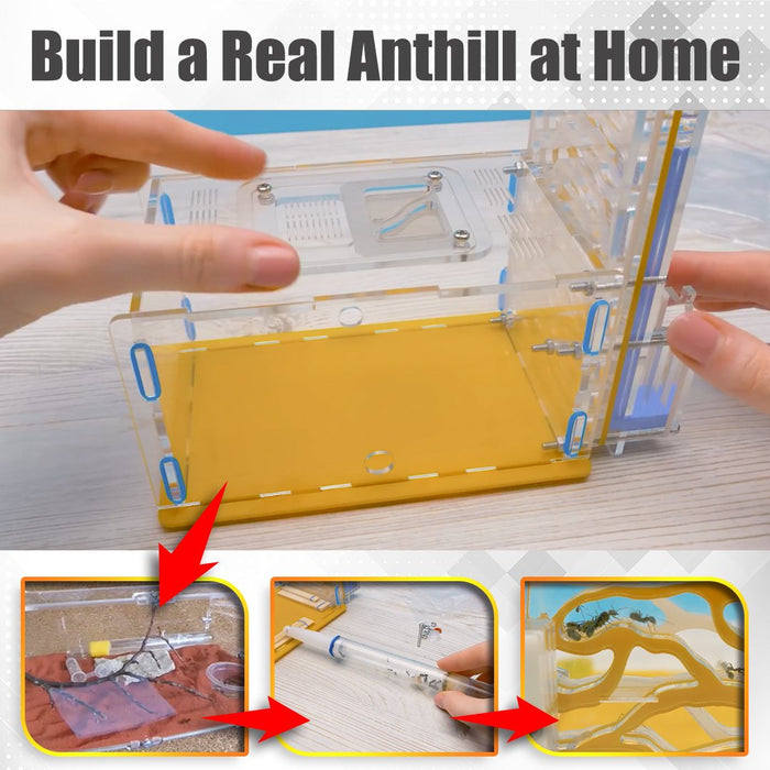 ClearGlass Ant Sand Castle Kit