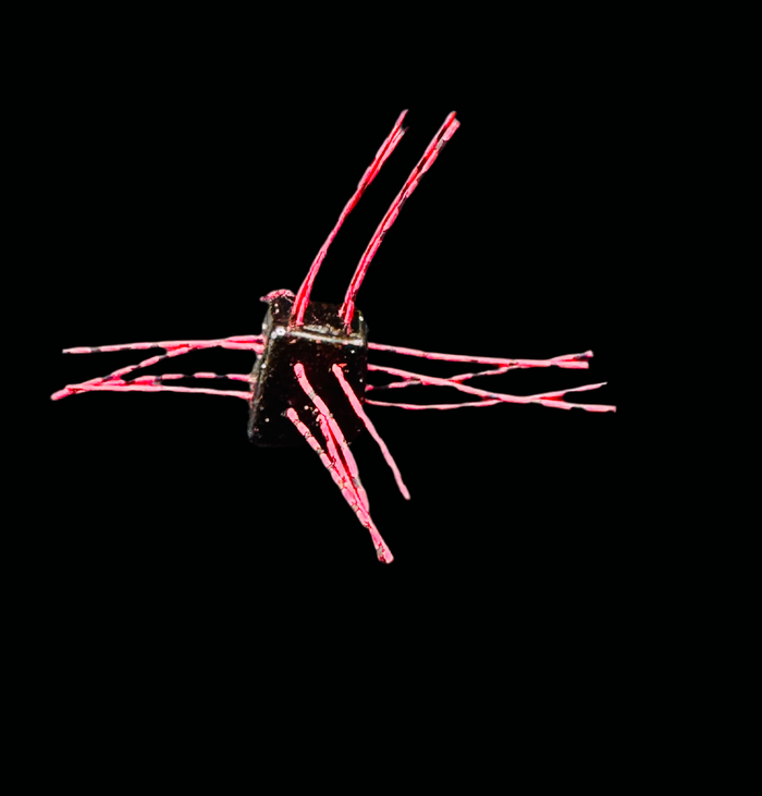 Black/Red, Red Strands (Salt)
