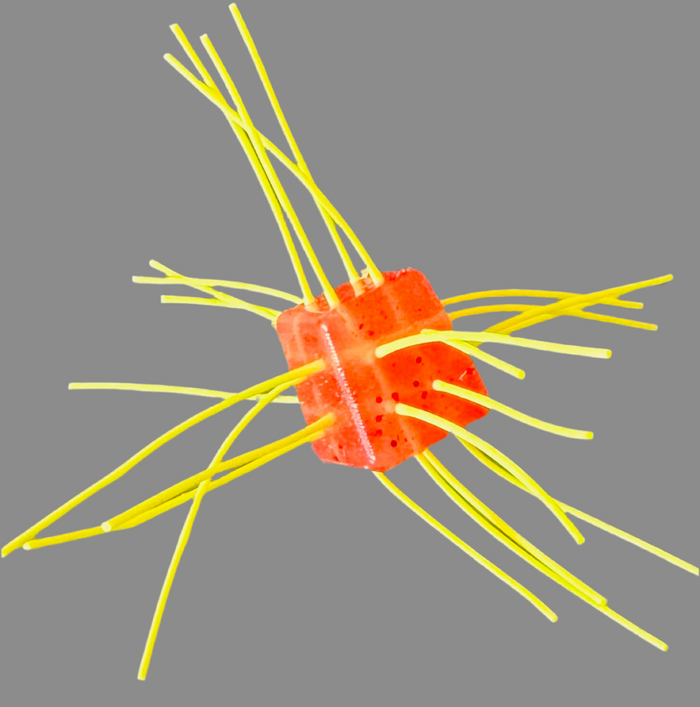 Pink Lemonade- chartreusse strands (No Salt)