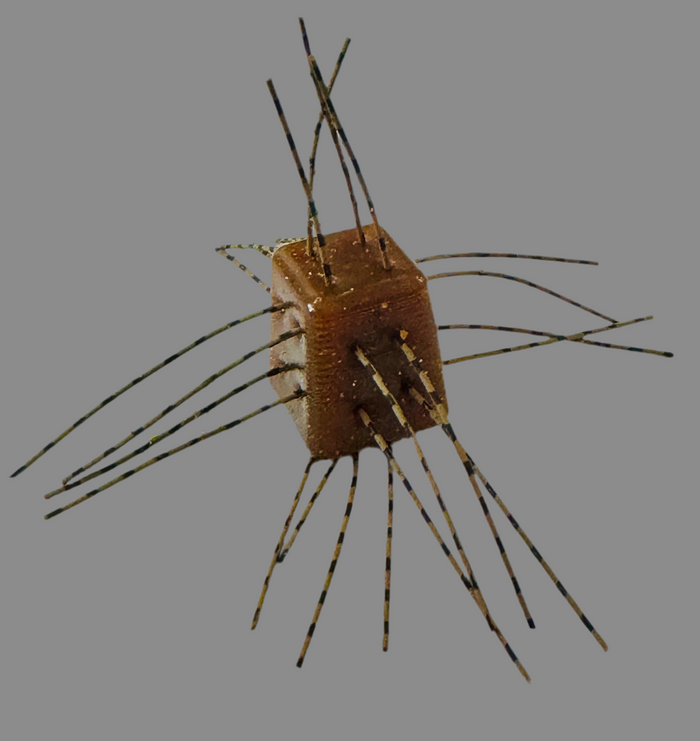 Motor oil- brown/black strands (No Salt)