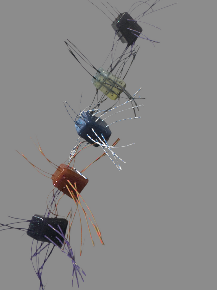 Variety Pack- June bug, PB & strawberry jelly, blue craw (No Salt)