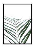 Minimalist botanical art poster by Opposite Wall with palm leaf Curves