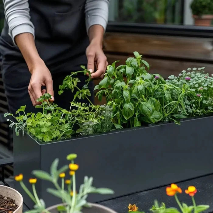 Compact herb planter perfect for small spaces.