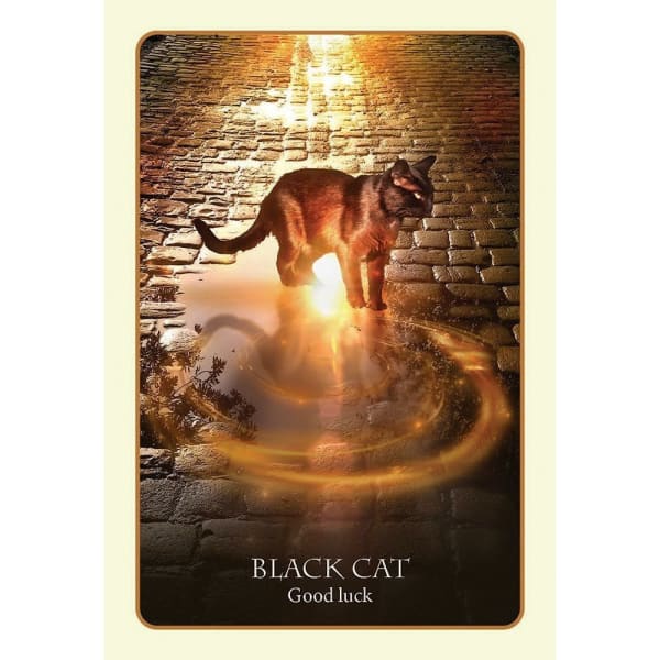 Divination of the Ancients - Done