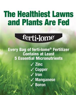 Fertilome St. Augustine Weed & Feed 15-0-4