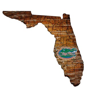 Florida Gators Distressed 24" x 24" State Wall Art"