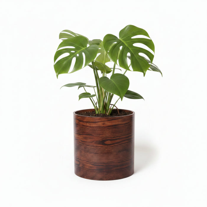 Forest Bark Round Cylindrical Planter Pot (Large Size)