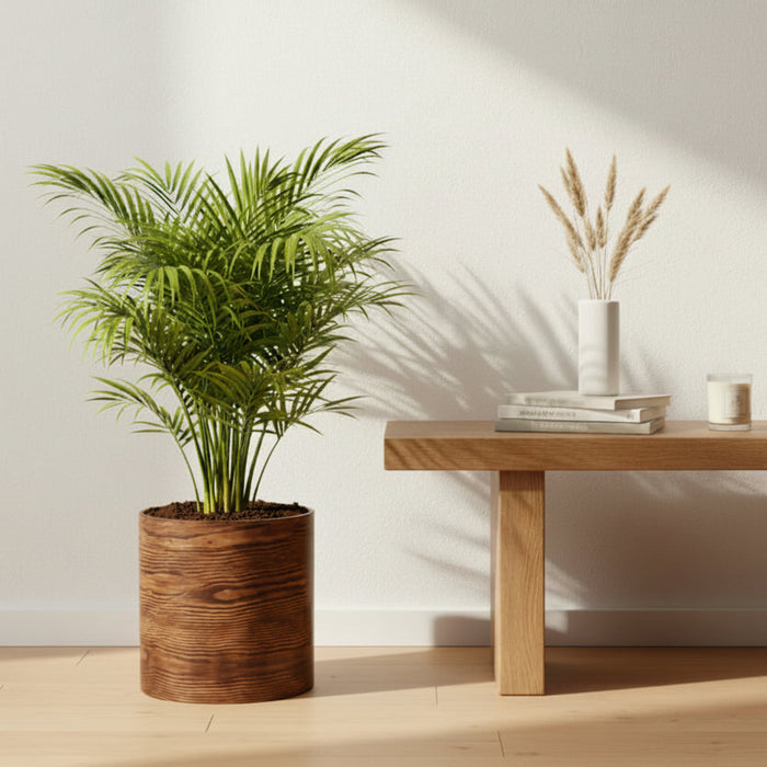 Forest Bark Round Cylindrical Planter Pot (Large Size)