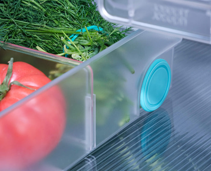 [half-width] FridgeStore™ Extra Large Storage Bin