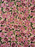 Imperial Collection - Graceful Cranes - Flowers in Moss