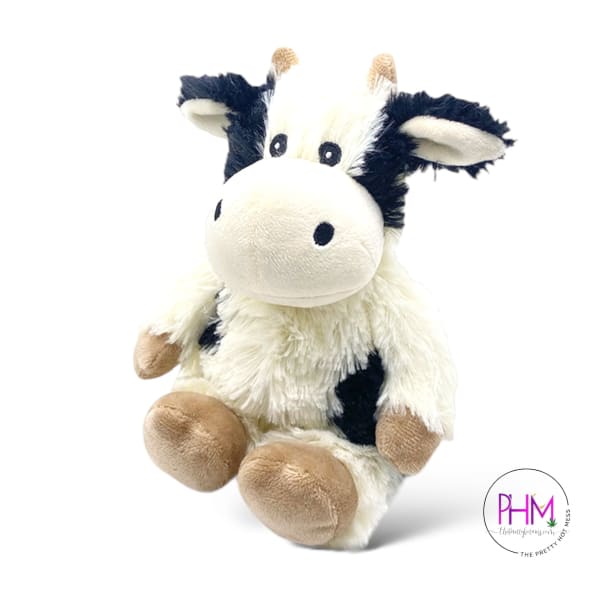 Black and White Cow